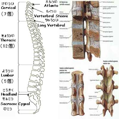 Medicine Acupuncture Herbal Treatment Cure Backache Herbs Kuala Lumpur Medical Treatment Cure Centre